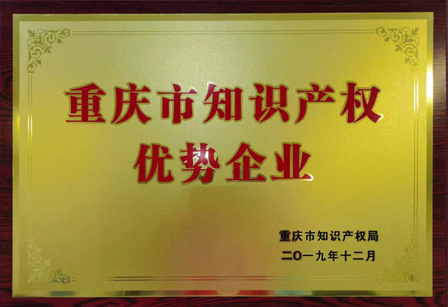 重庆市知识产权优势企业